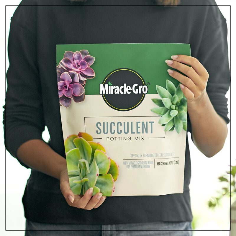 Miracle-Gro&reg; Succulent Potting Mix image number null